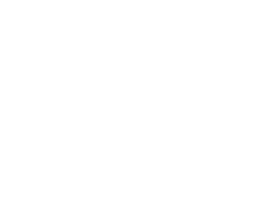 SINSTELCOM ELECTRIC
